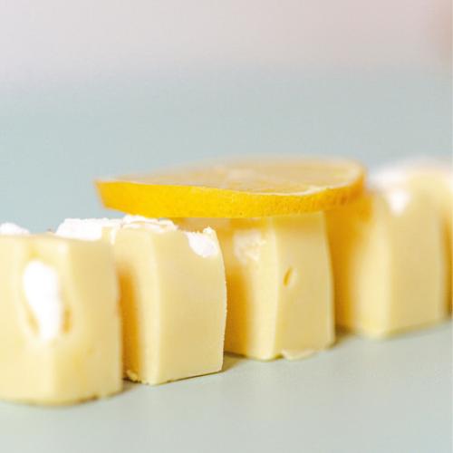 Custom Fudge Box Jurassic Fudge