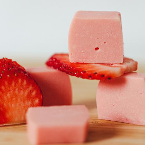 Custom Fudge Bar Jurassic Fudge